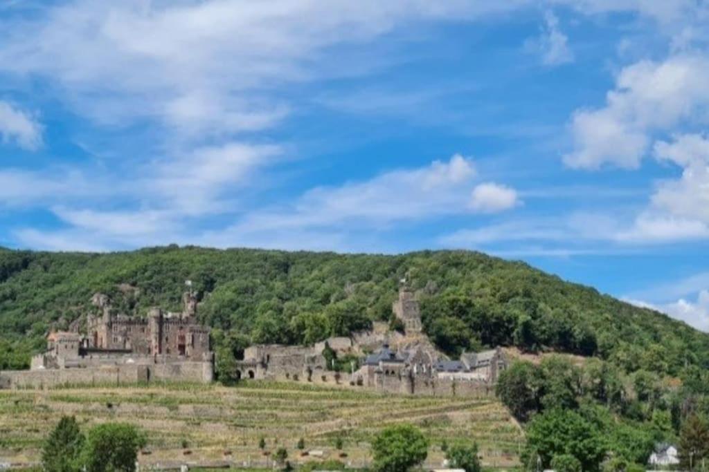 Appartement Wohnen Am Schoenen Mittelrhein Weltkulturerbe Oberwesel
